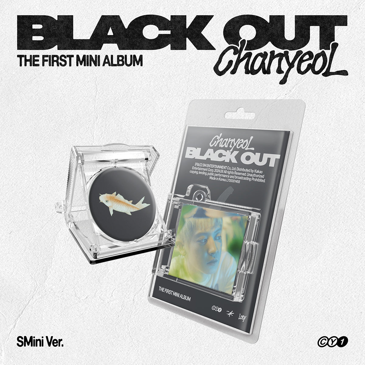 CHANYEOL (EXO) - Black Out (SMini Ver.)