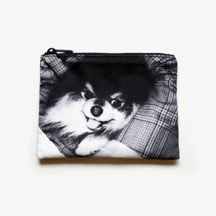 V (BTS) - Layover OFFICIAL MD [Reversible Pouch]